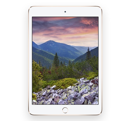 Apple iPad mini 3 official8