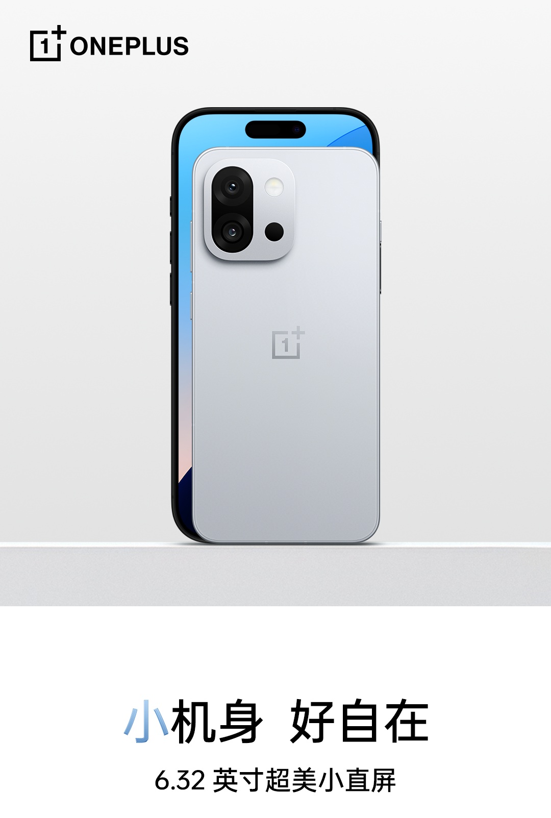 OnePlus 13T