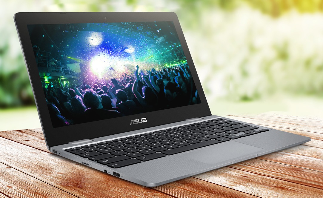 Asus_Chromebook_12_C223_1.jpg