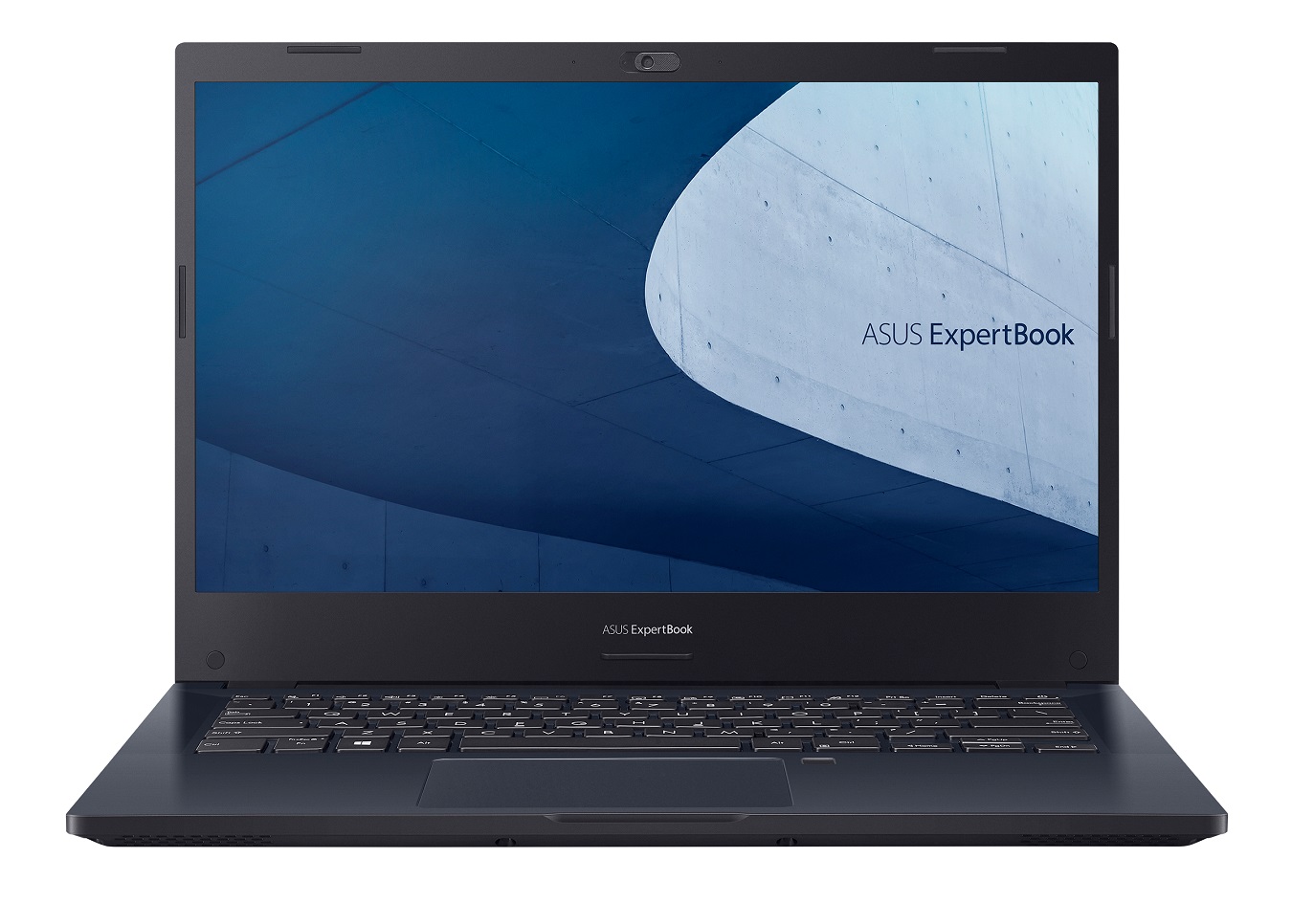 Ноутбук Asus ExpertBook P2: цена и характеристики в России