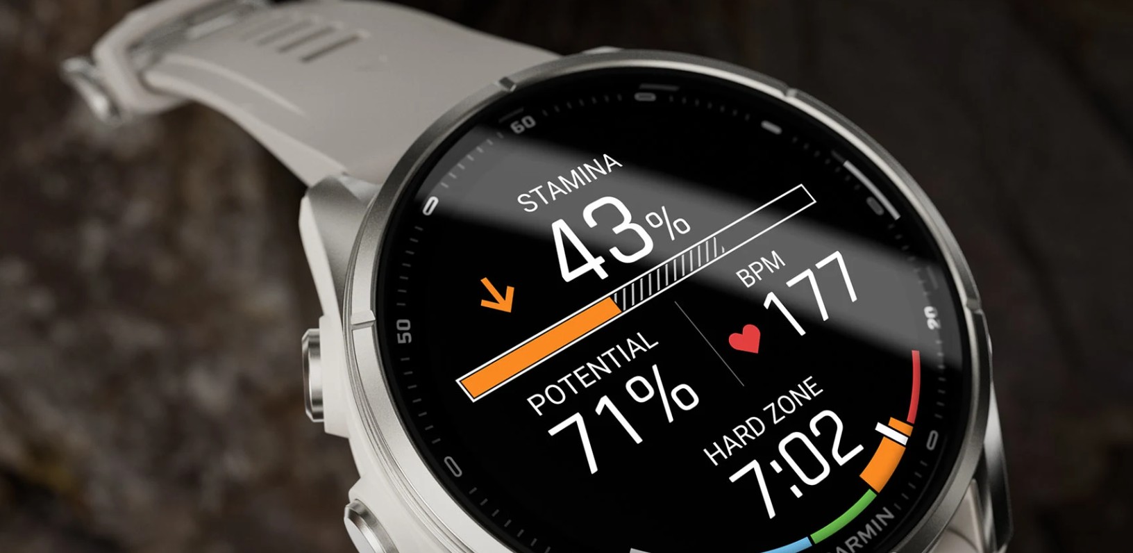 Garmin Fenix 9