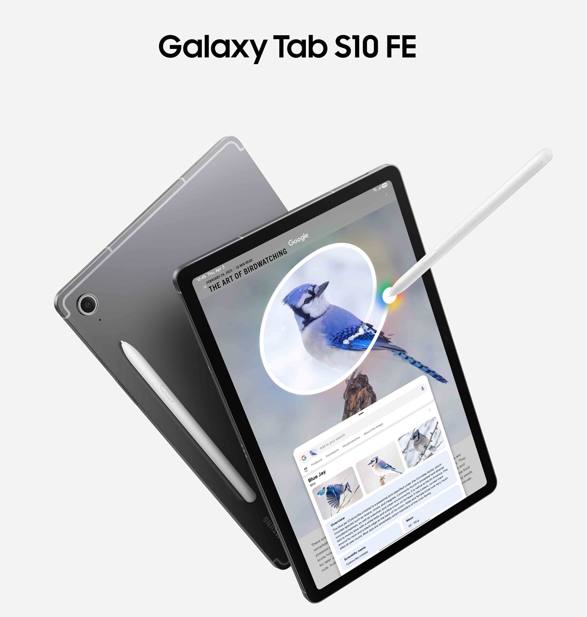 Представлены новые Samsung Galaxy Tab S10 FE и Galaxy Tab S10 FE+