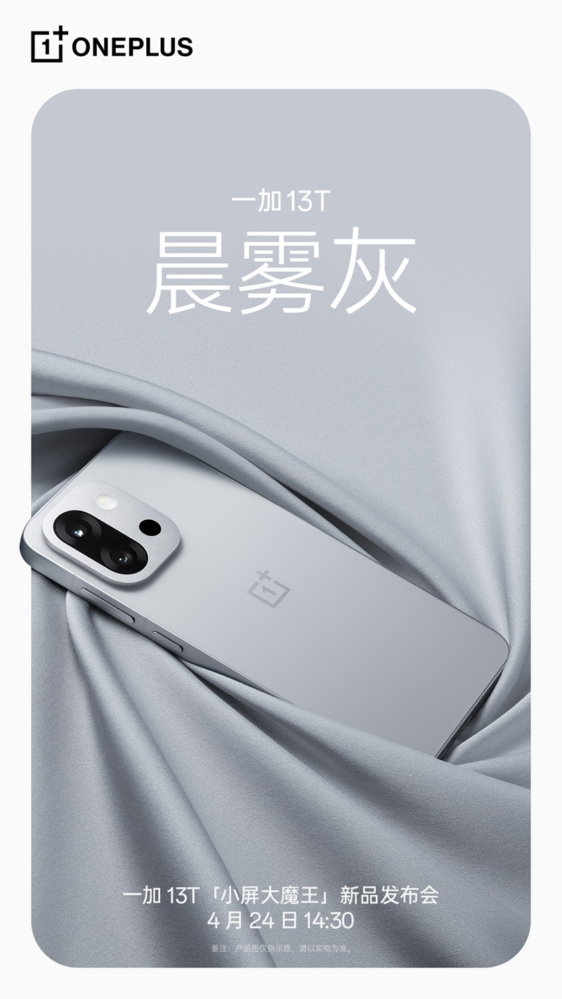 OnePlus 13T
