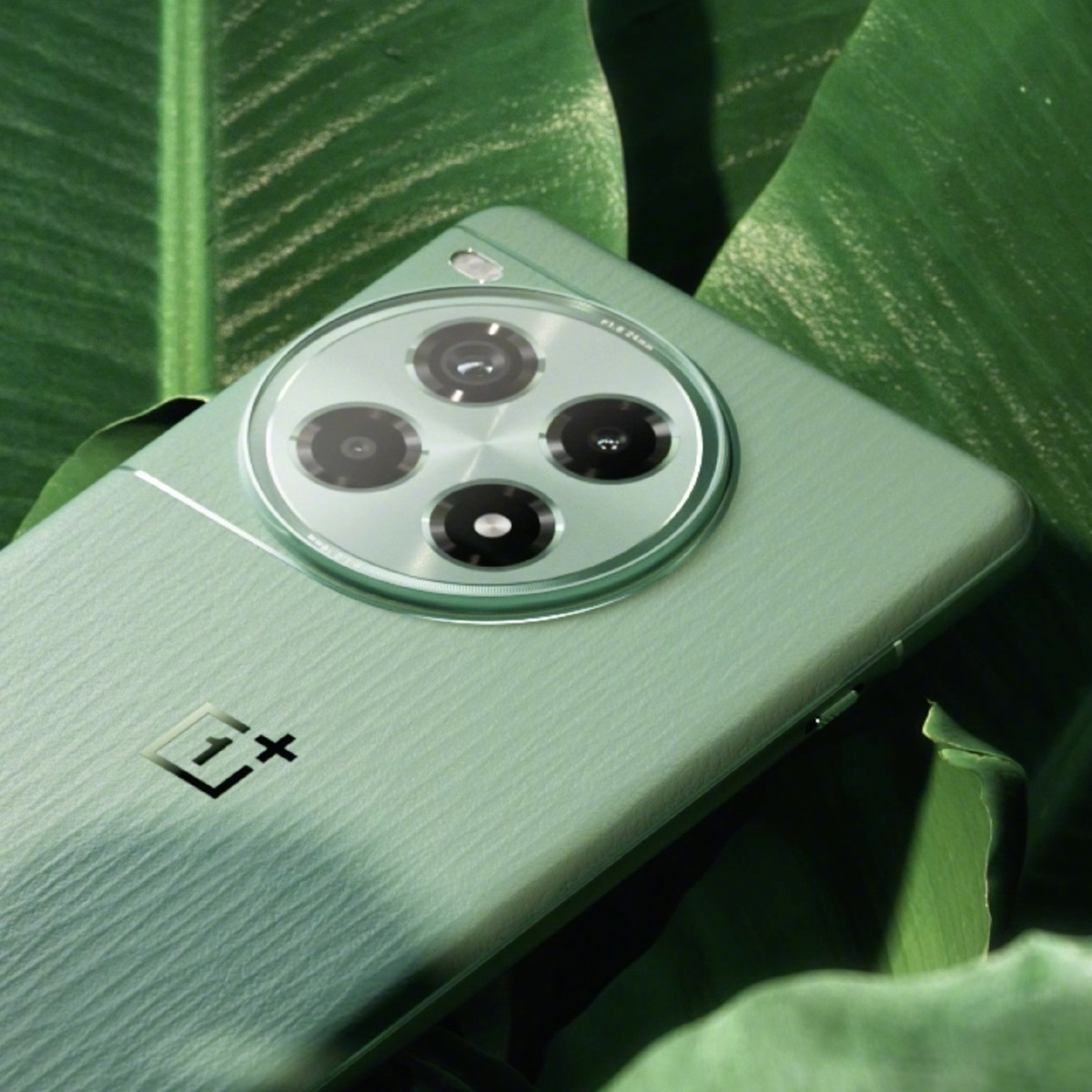 OnePlus Ace 3 Pro Green Field Blue