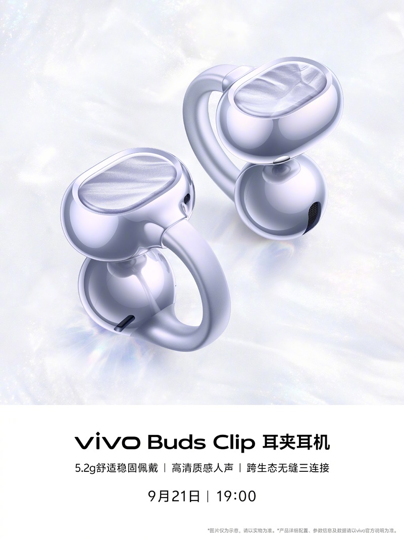 Vivo Buds Clip