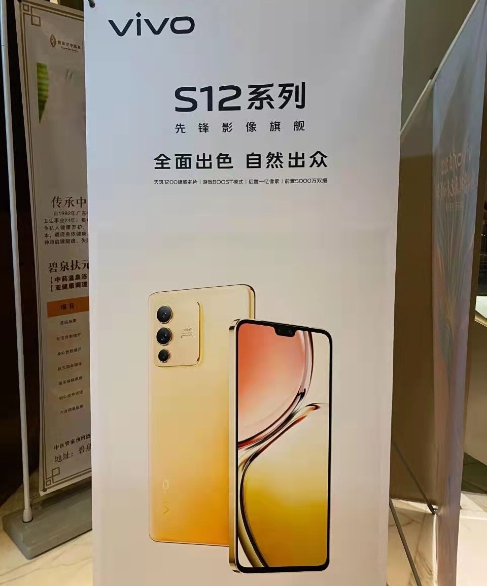 Vivo S12