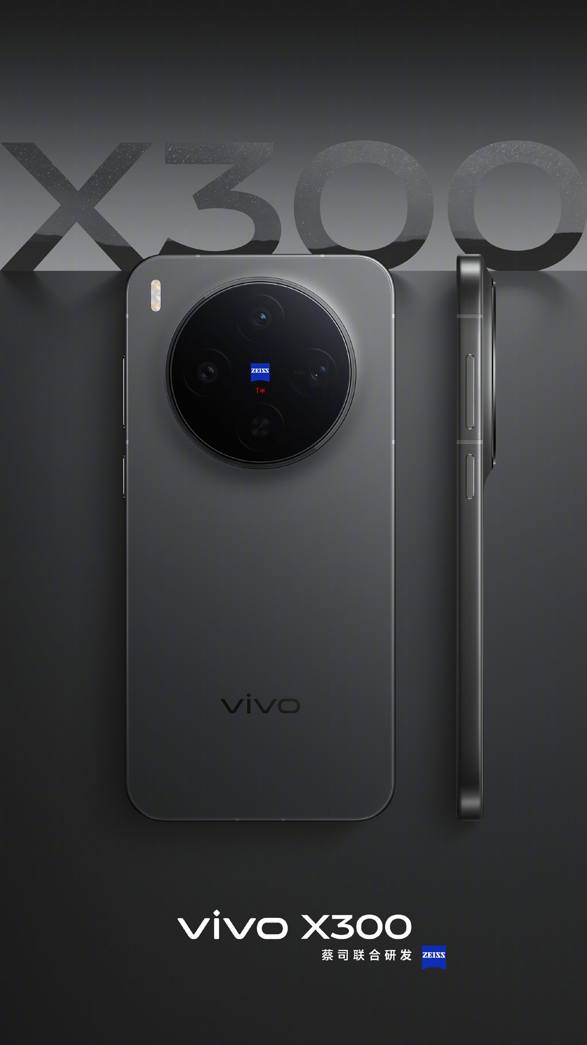 Vivo X300