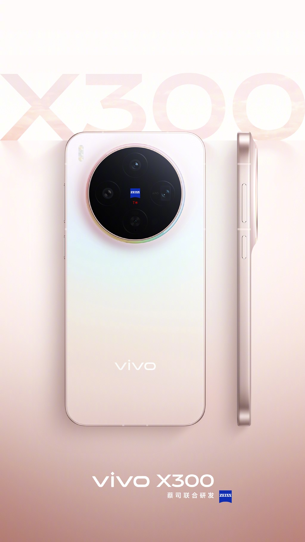 Vivo X300