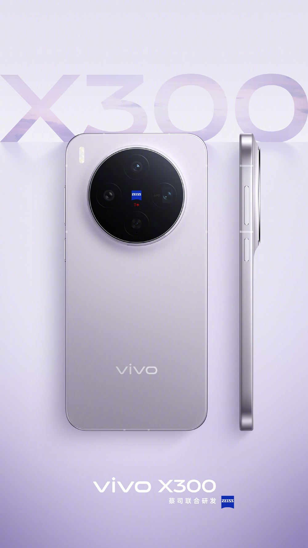 Vivo X300