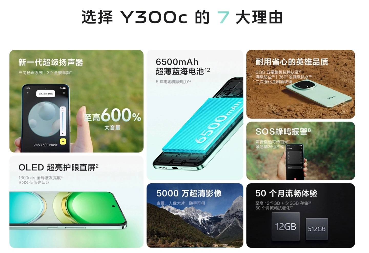 смартфон Vivo Y300c
