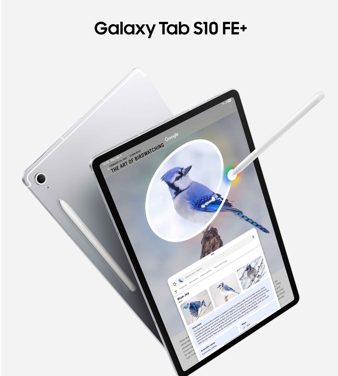 Galaxy Tab S10 FE+ 