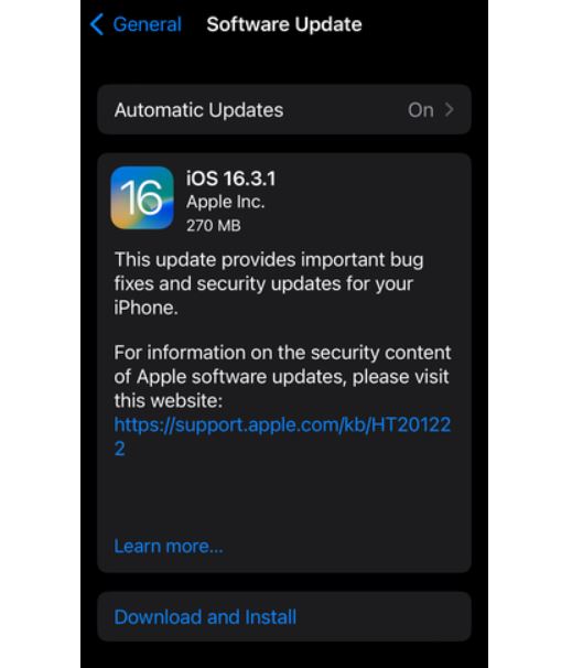 iOS 16.3.1