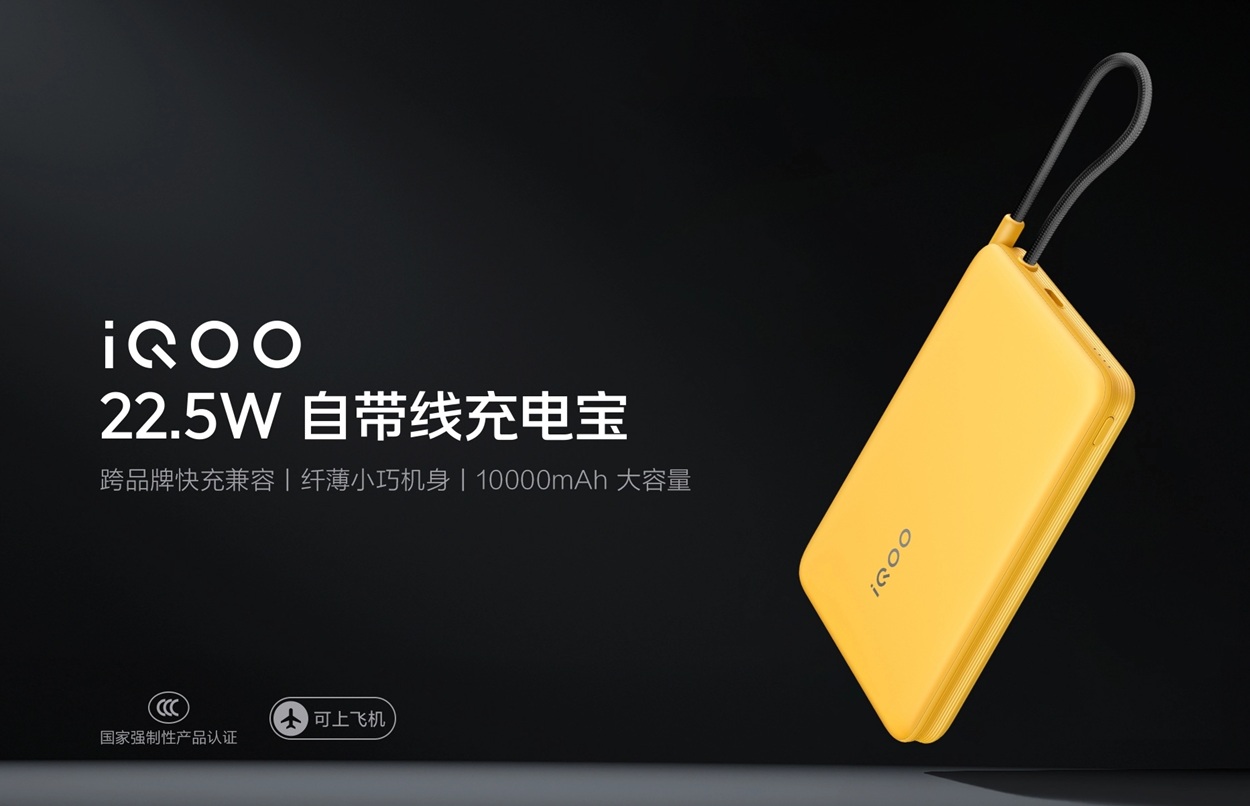 пауэрбанк iQOO 22.5W