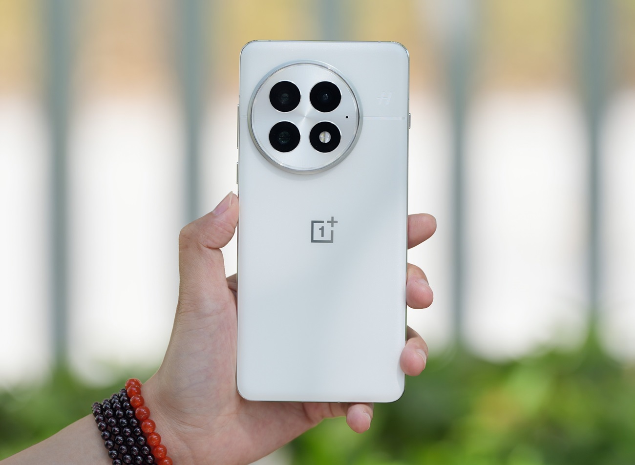 oneplus_13_1455241441.jpg