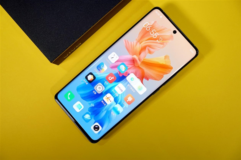 vivo_943735253.jpg